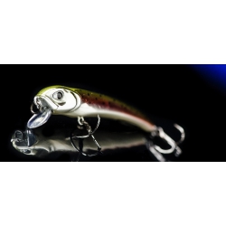 MOLIX     AUDACE 65 suspending